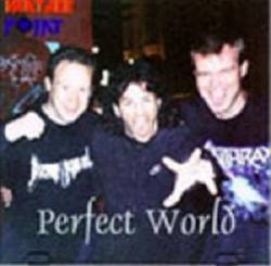 Vantage Point : Perfect World - Single